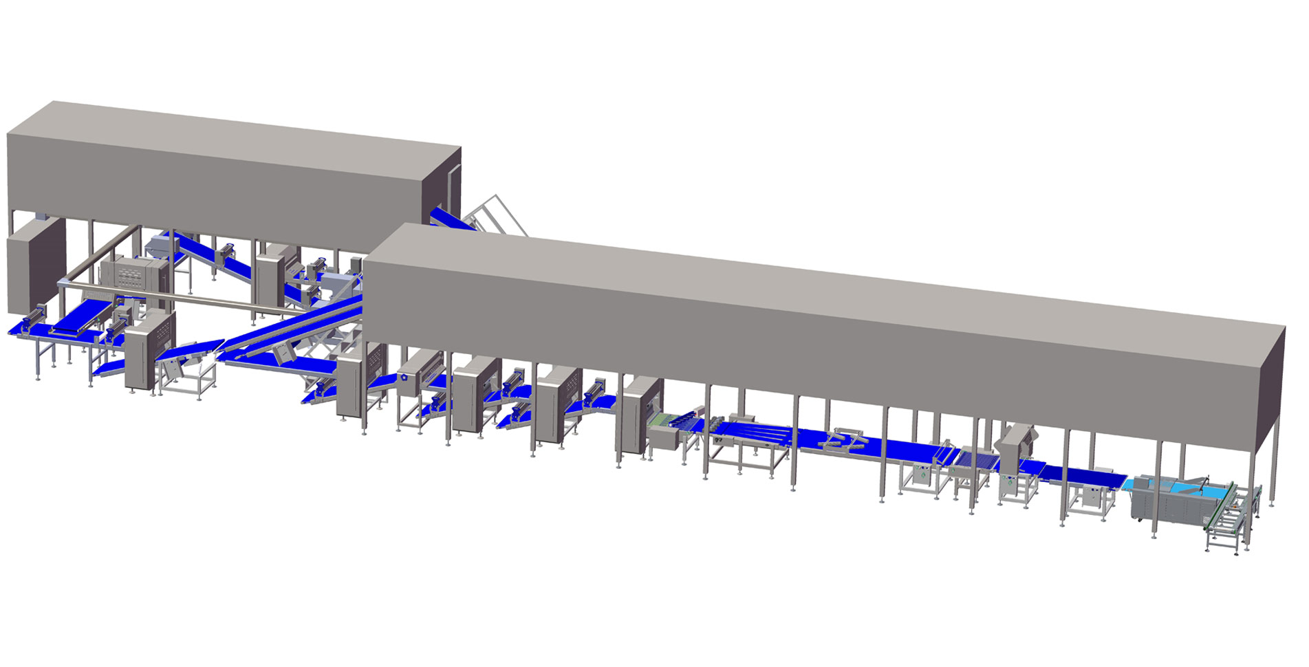 Semi-Finished Palmier Production Line